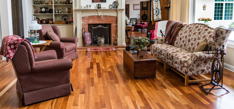 hardwood flooring versus carpet