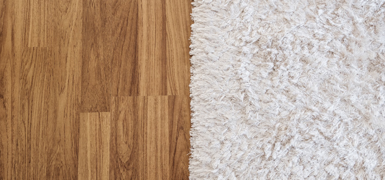 hardwood flooring versus carpet